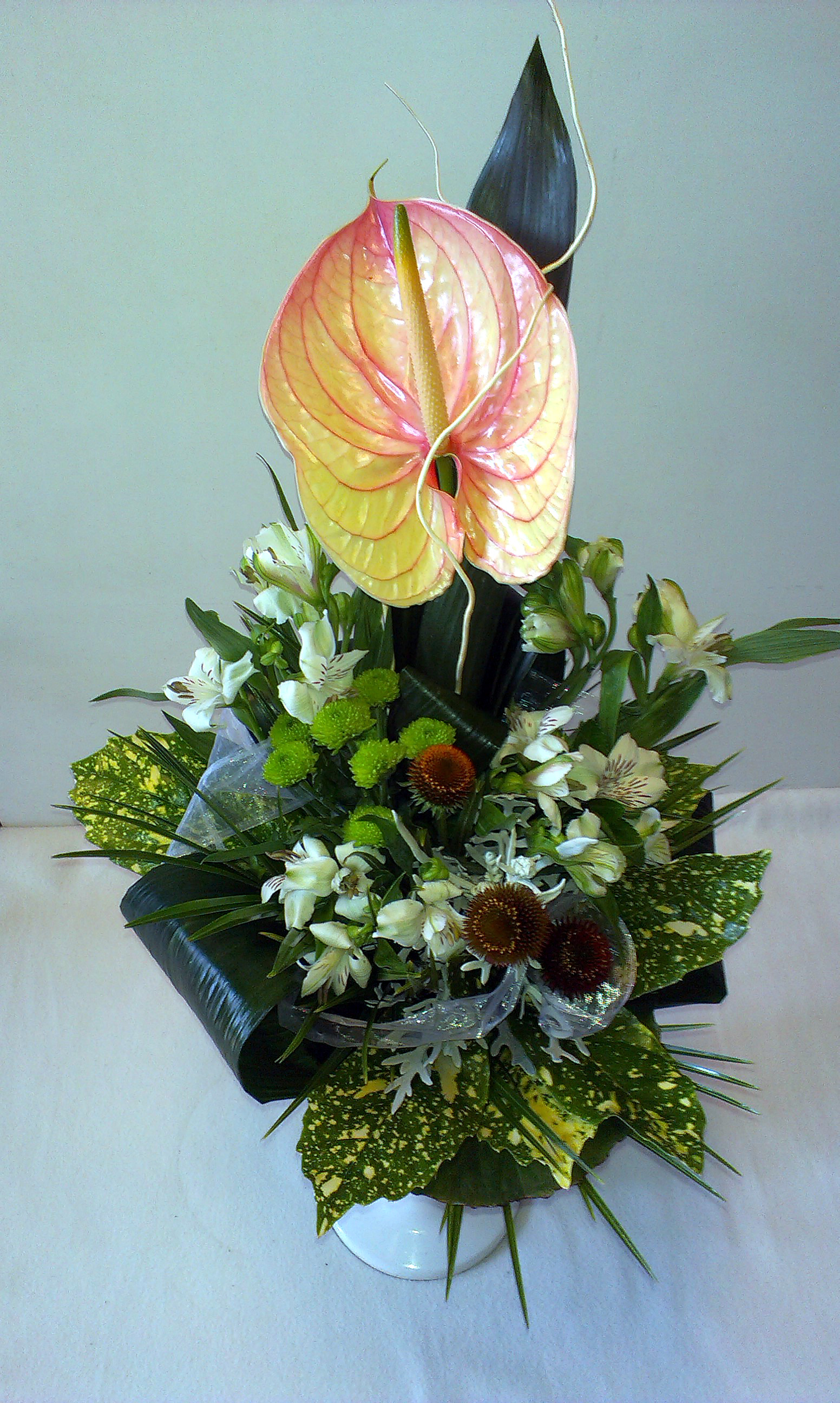 Posol dobrých správ