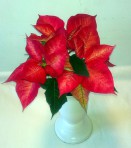 Prýštec /Euphorbia/ „Vianočná ruža“