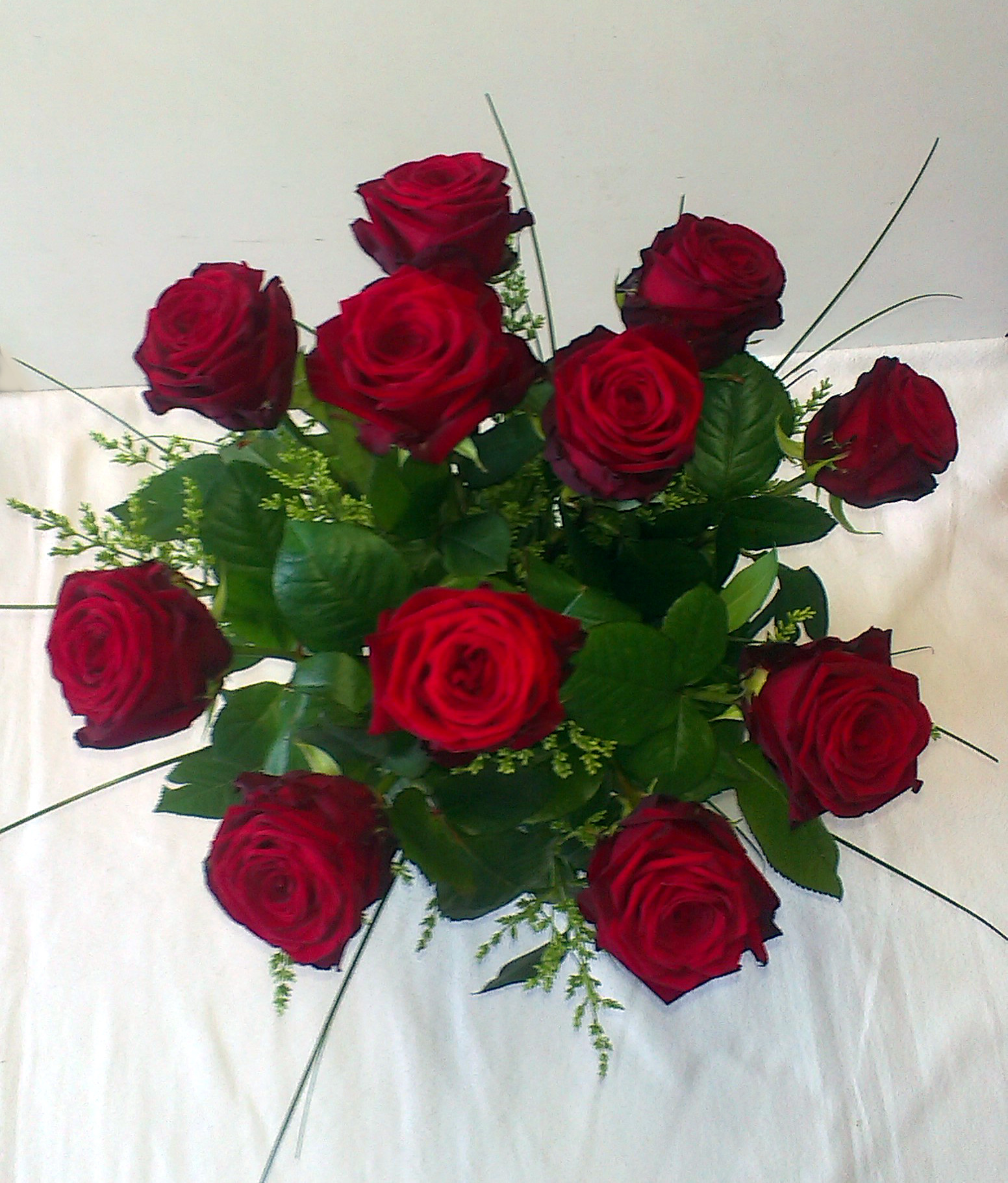 Červená jedenástka