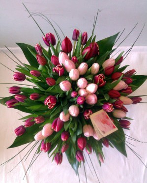 tulipánmi
